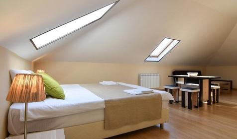 Мансарда трехместная студия