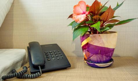 Стандарт двухместный TWIN