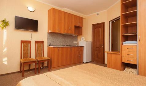 Студия двухместная с кухней