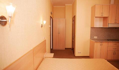 Студия двухместная с кухней