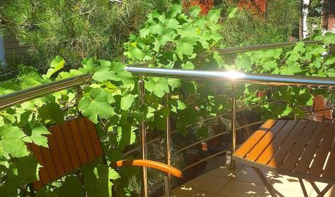 Студия двухместная с кухней