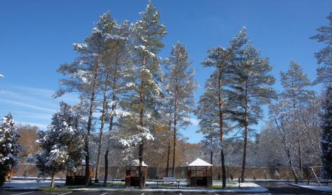 Павлова Поляна