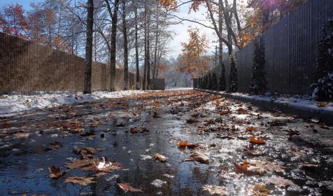 Павлова Поляна