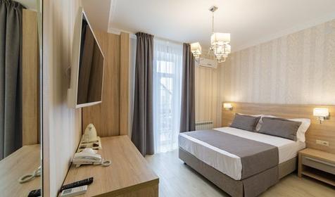 Standard 1-местный 1-комнатный StSgl