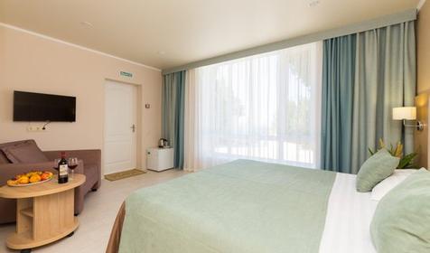 Стандарт плюс двухместный