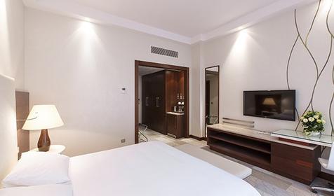 Стандарт двухместный КИНГ/ТВИН