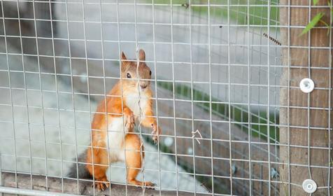 SPA-отель Grace Arli, Сочи, Адлер