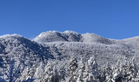 У Гранитного Каньона