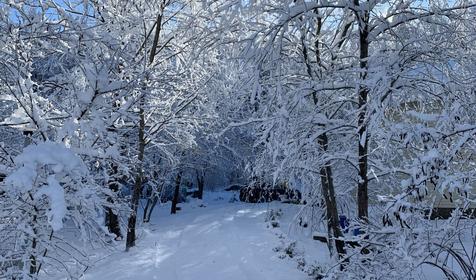 У Гранитного Каньона