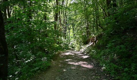 У Гранитного Каньона