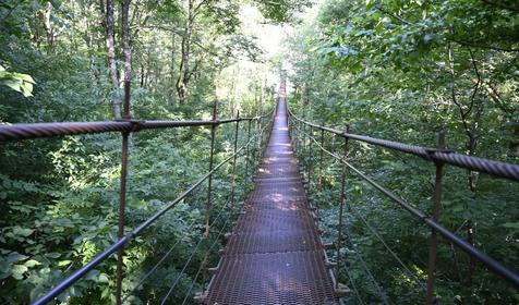 У Гранитного Каньона