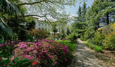 Отель Orchestra Crystal Sochi Resort (Оркестра Кристалл Сочи Резорт), Хостинский район, Сочи