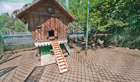 Отель Orchestra Crystal Sochi Resort (Оркестра Кристалл Сочи Резорт), Хостинский район, Сочи