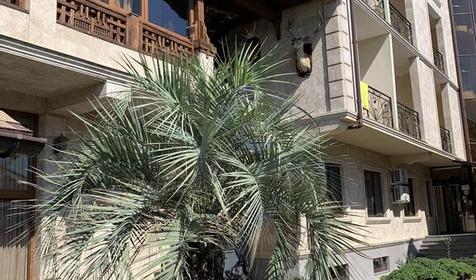 Отель Coliseum (Колизей), Сочи, Дагомыс