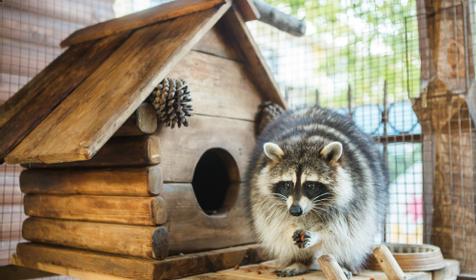 SPA-отель Grace Arli, Сочи, Адлер