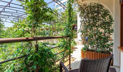 Стандарт без балкона. Отель Наири, г. Сочи