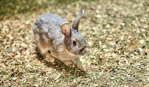 Санаторий Azimut Здоровье (Зеленый Гай)