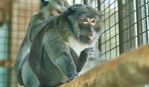 Санаторий Azimut Здоровье (Зеленый Гай)