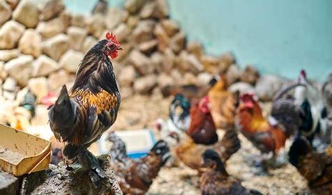 Санаторий Azimut Здоровье (Зеленый Гай)