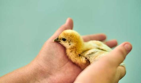 Санаторий Azimut Здоровье (Зеленый Гай)