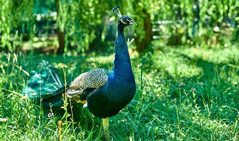 Санаторий Azimut Здоровье (Зеленый Гай)