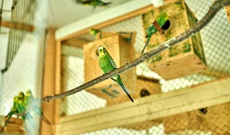 Санаторий Azimut Здоровье (Зеленый Гай)