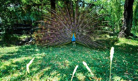 Санаторий Azimut Здоровье (Зеленый Гай)