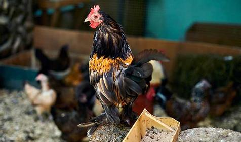 Санаторий Azimut Здоровье (Зеленый Гай)