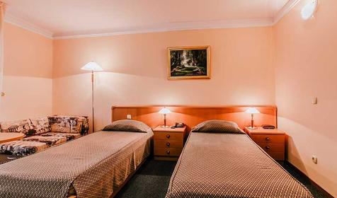 Комфорт двухместный TWN