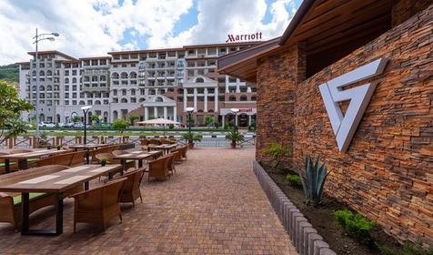 Отель Vertex (Вертекс). Сочи, Эстосадок