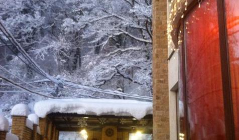 Отель Green Hall (Грин Холл), Сочи, Эсто-Садок