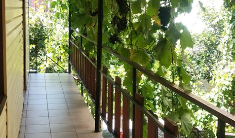 Ростовский дворик