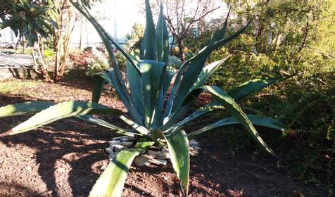 Ростовский дворик