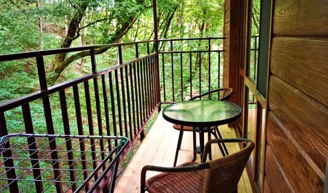 Стандарт + в Лесном