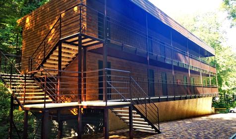 Стандарт + в Лесном