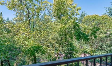 Эконом одноместный