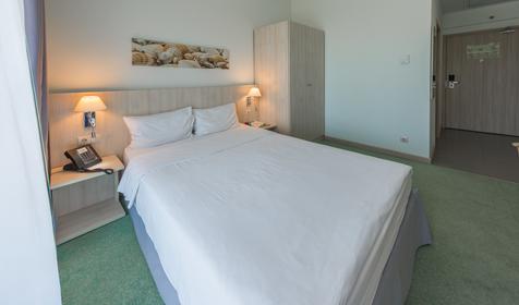 Стандарт двухместный. ОК Сочи Парк Отель 3*, Сочи, г. Адлер