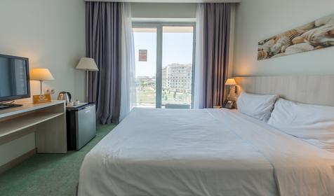 Стандарт двухместный. ОК Сочи Парк Отель 3*, Сочи, г. Адлер