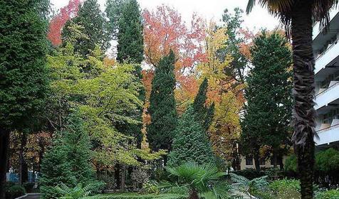 Военный санаторий Лазурный берег (ФГБУ СКК "Сочинский" МО РФ), Сочи, Лазаревское, Головинка