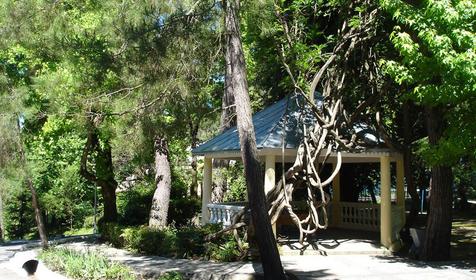 Военный санаторий Лазурный берег (ФГБУ СКК "Сочинский" МО РФ), Сочи, Лазаревское, Головинка