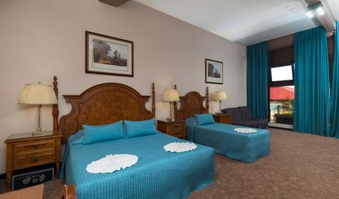 Стандарт двухместный без балкона с кухней