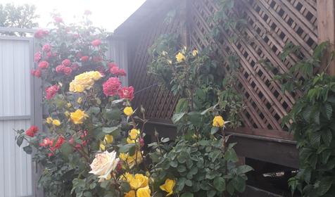 Гостевой дом Песчаный берег