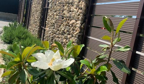 Дом "Скандинавия"