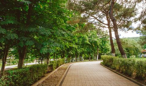 Пансионат Приморский, Геленджик, Кабардинка