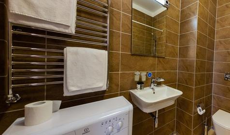 Апартаменты двухместный с 1 спальней и кухней (выход на кровлю)