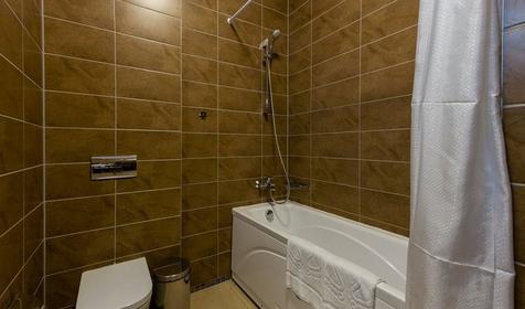 Апартаменты двухместный с 1 спальней и кухней (выход на кровлю)