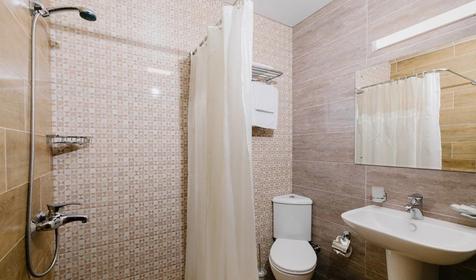 Стандарт двухместный с видом на парк