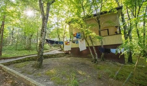 Эконом трехместный