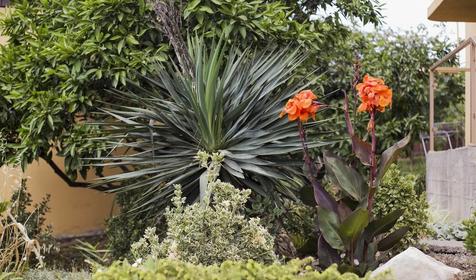 Отель Барса, Сочи, Адлер, Верхнеимеретинская Бухта