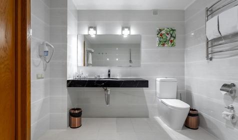 Премиум люкс двухместный